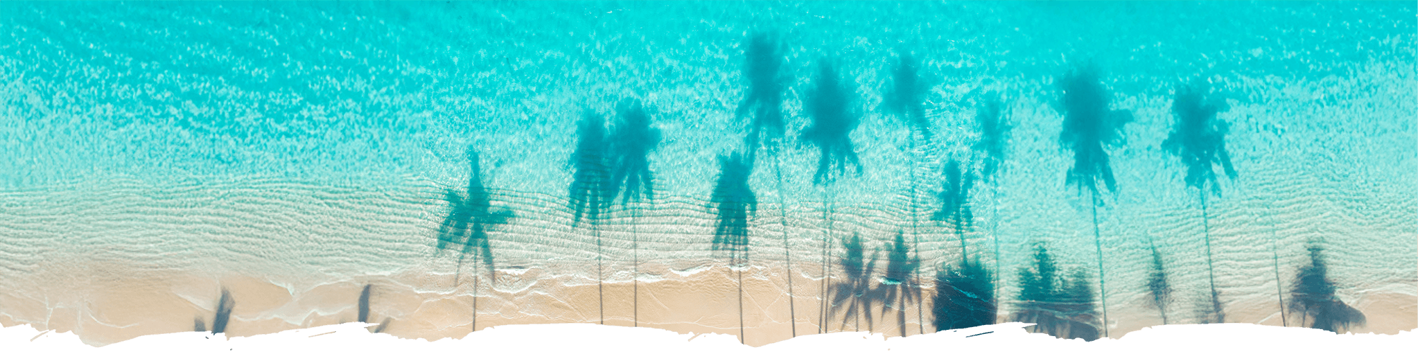Turkusowa laguna i palmy na Mauritiusie